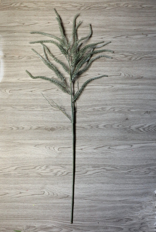 18-pronged willow catkins