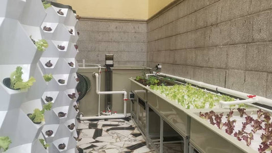 Aquaponic Home System