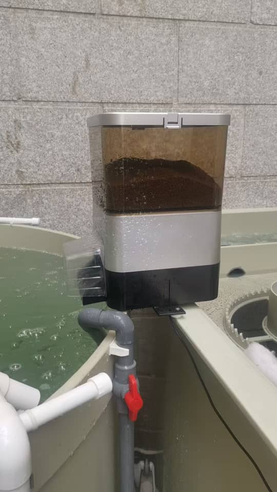 Aquaponic Home System