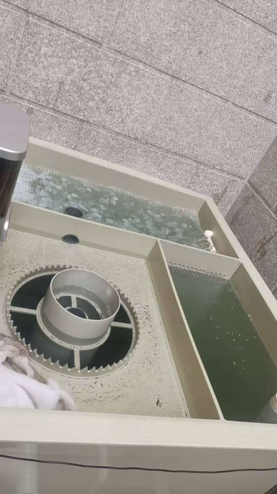 Aquaponic Home System