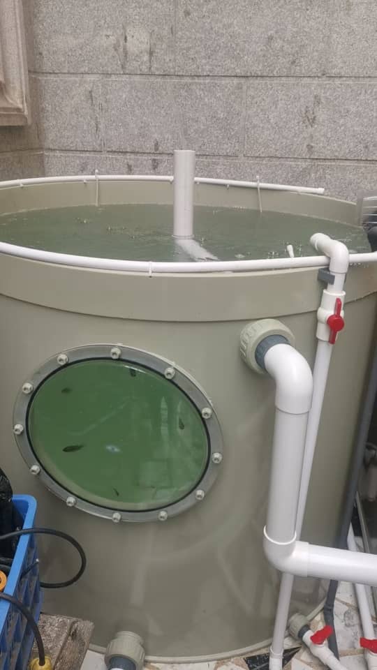 Aquaponic Home System
