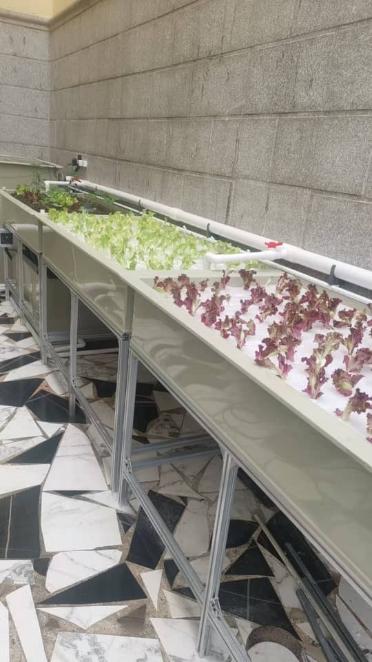 Aquaponic Home System