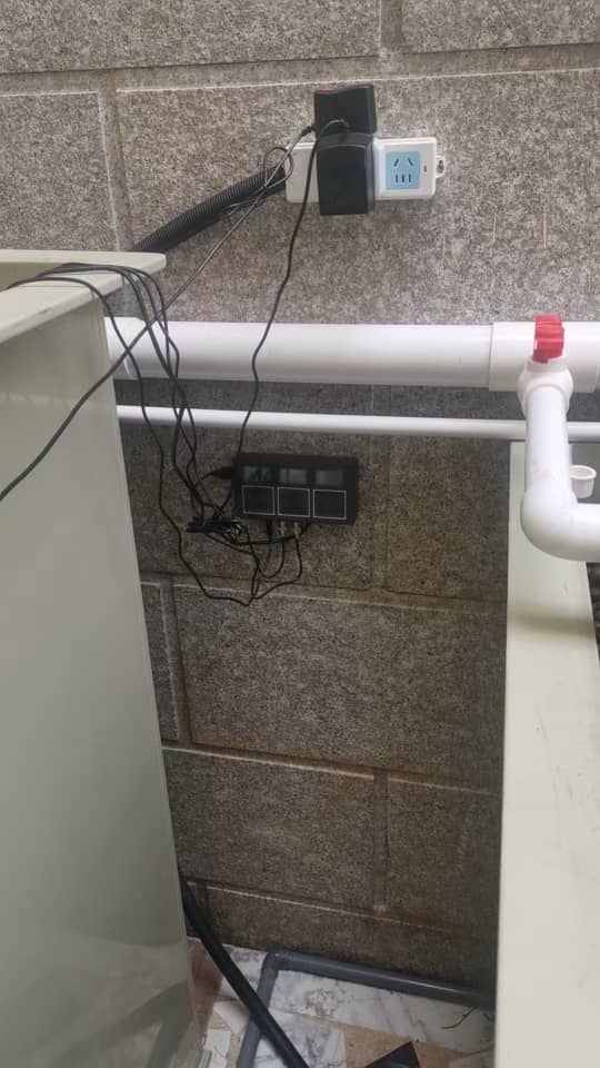 Aquaponic Home System