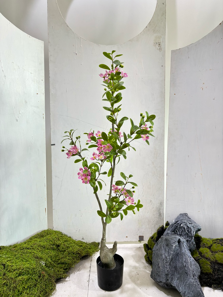 Crape Myrtle Flower Tree