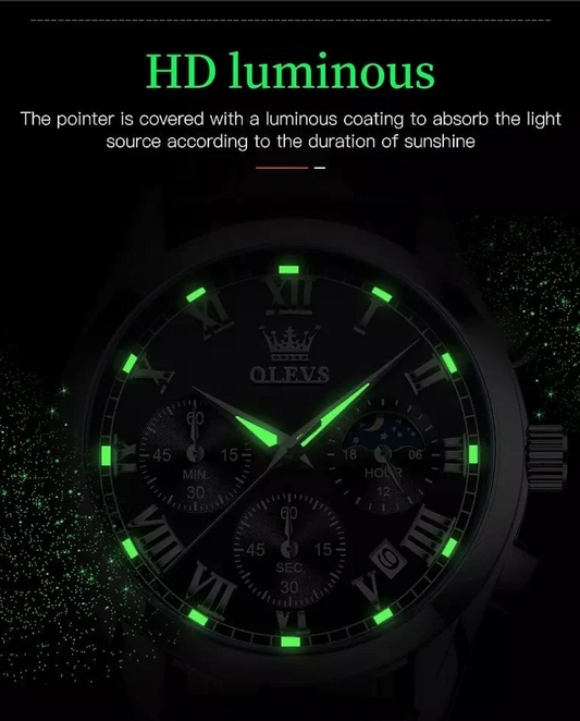 Olevs Watch 2871 Luxury Fashion Quartz Analog Watch