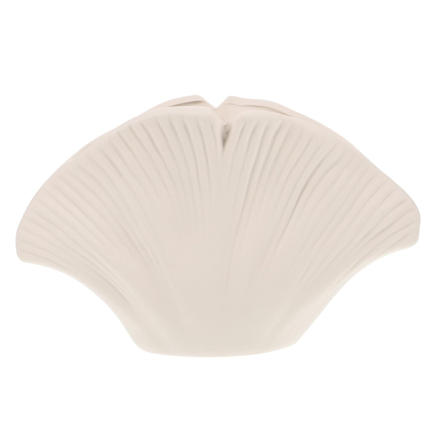 Shell Vase-White
