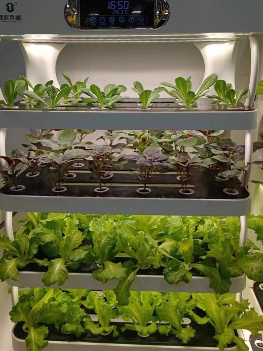 Smart Planter Hydroponics System