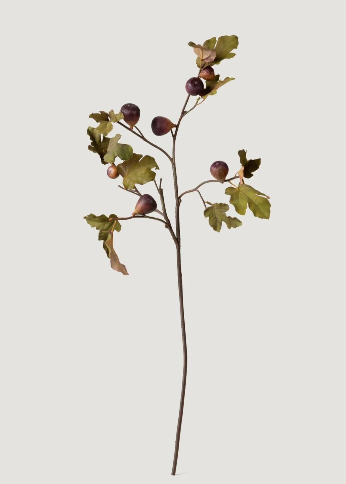 Deluxe Artificial Grape Branch with Leaves - 43"