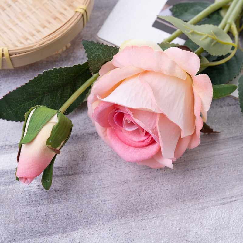Single Rose