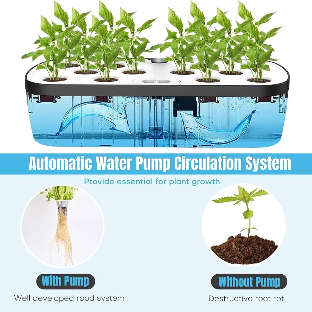 Hydroponics System With Grow Light