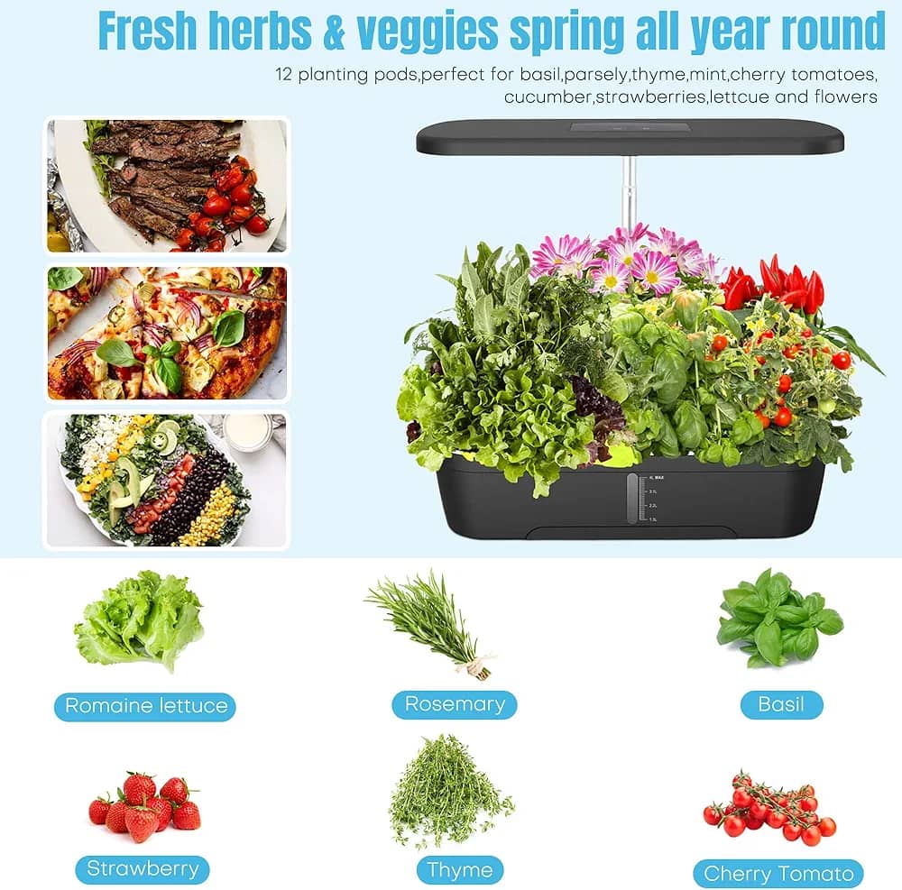 Hydroponics System With Grow Light