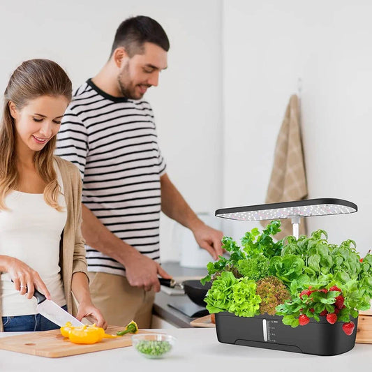 Hydroponics System With Grow Light