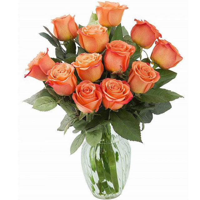 Orange Roses