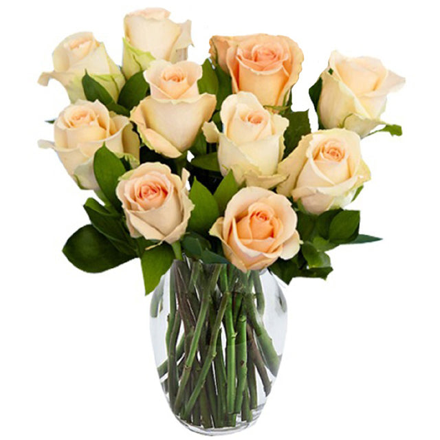Peach Roses
