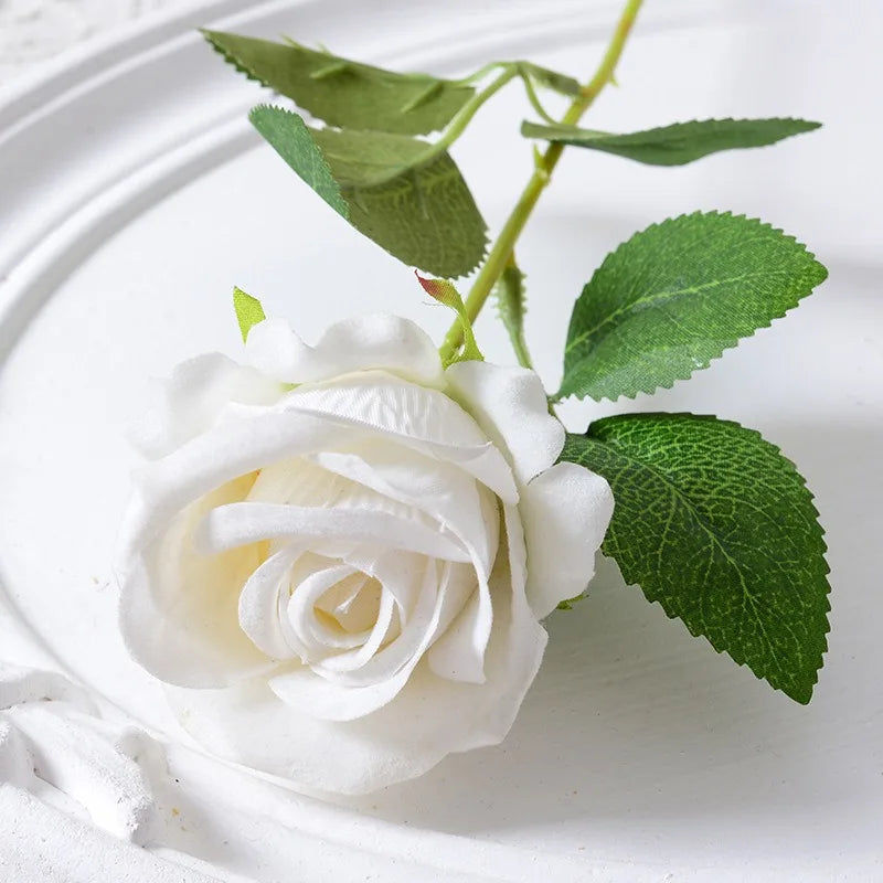 Single Rose