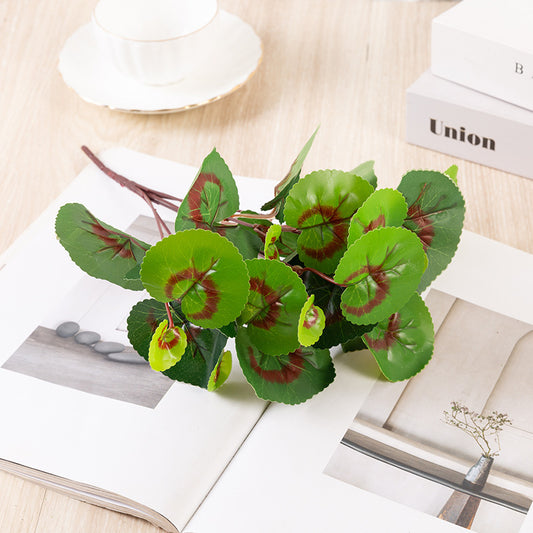 Artificial Leaf