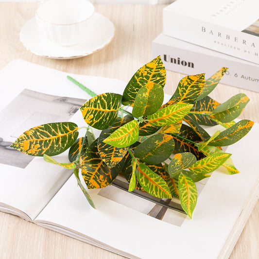 Artificial Leaf