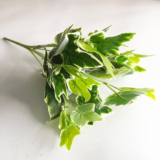 Artificial Leaf
