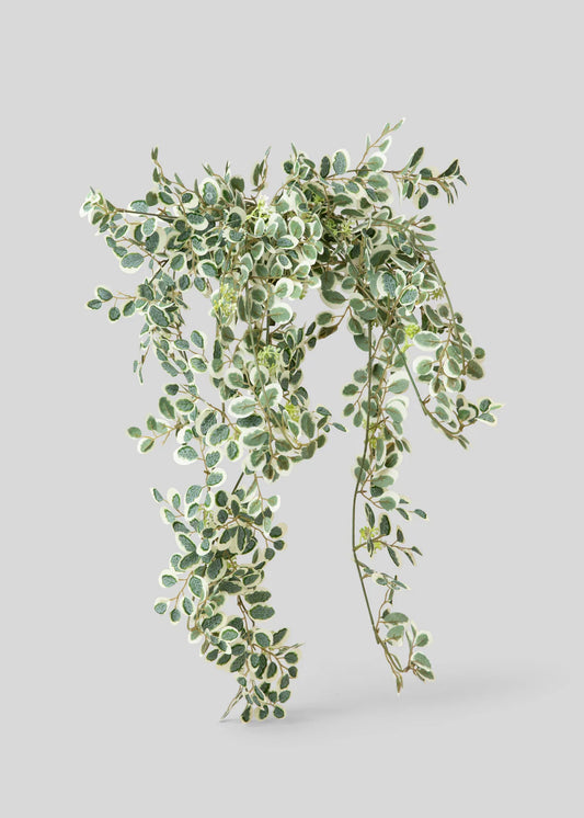 Fake Button Leaf Hanging Plant - 35"