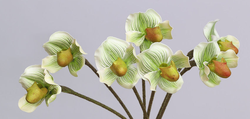 Artificial Single-stem Paphiopedilum, Slipper Orchid