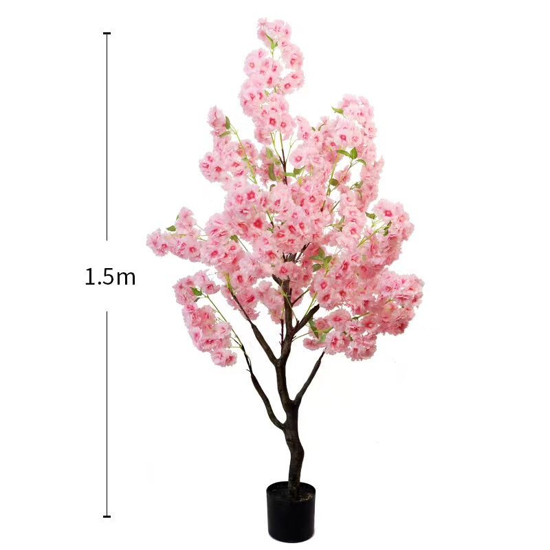 Cherry blossom tree