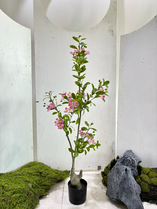 Crape Myrtle Flower Tree