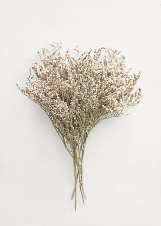 Dried Flower German Statice Bundles - 10-13"