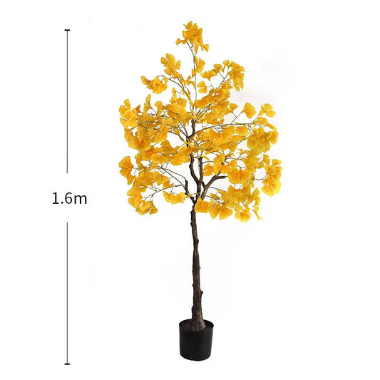 Ginkgo Biloba Tree