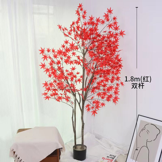 Maple tree