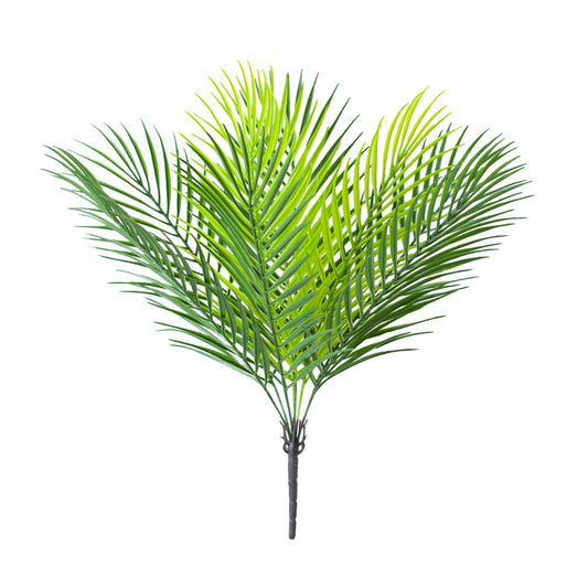 Palm Leaves