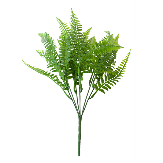 Fern Leaves