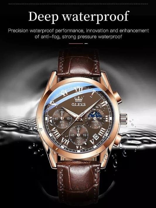 Olevs Watch 2871 Luxury Fashion Quartz Analog Watch