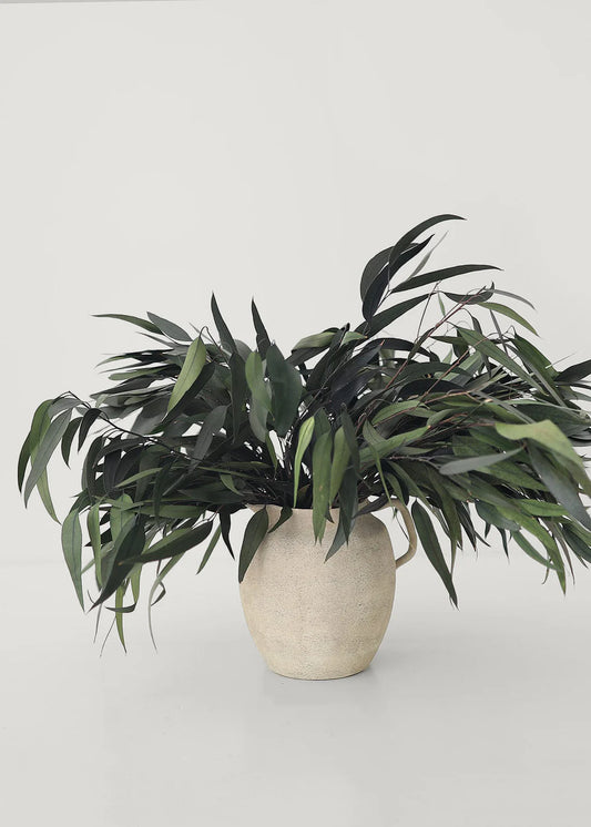 Preserved Weeping Willow Eucalyptus - 16-22"