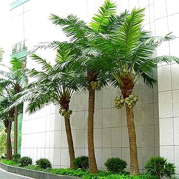 Lifelike Faux Palm Tree Set – Office, Mall & Hotel Decoration