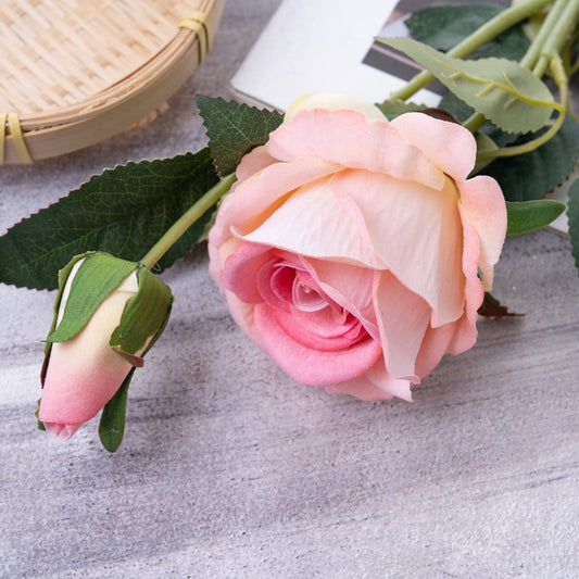 Single Rose