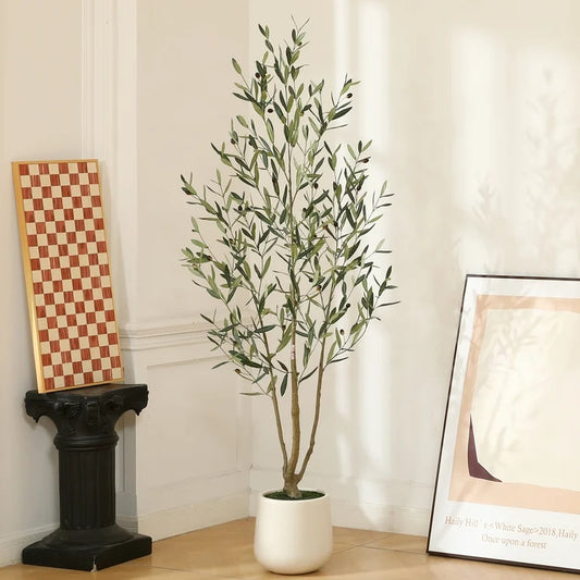 Olive tree